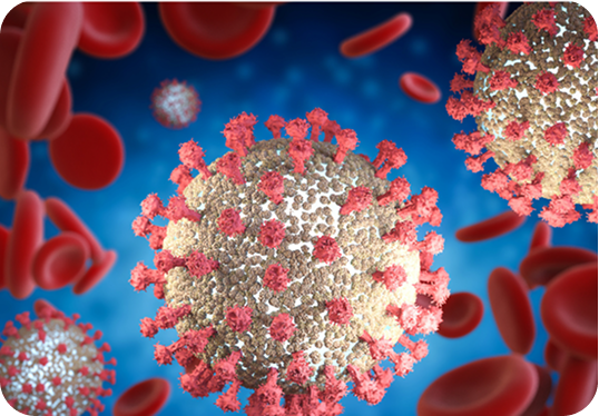 Foundation of Infectious Disease Management for General Practitioners